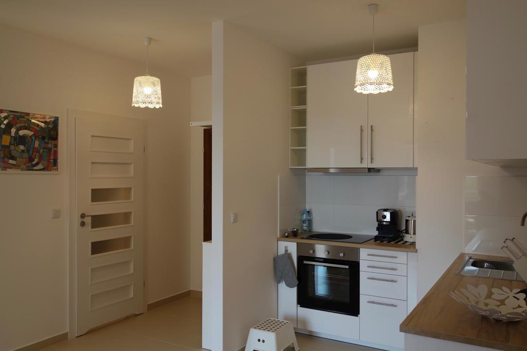 1 Bedroom Francuska Park Apartment Katovice Exteriér fotografie